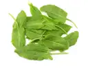 Spinach Dock – image 1