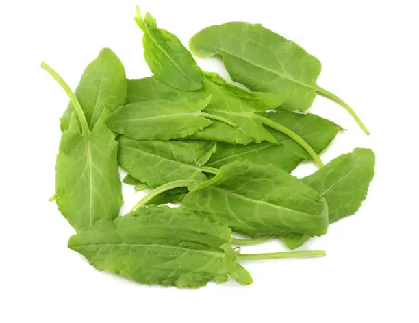 Spinach Dock