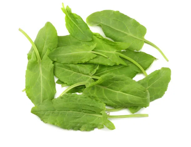 Spinach Dock
