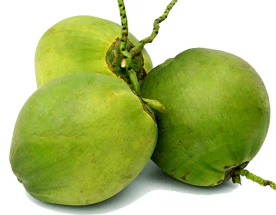 Tender Coconut