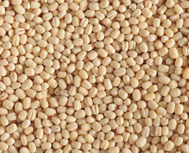 Urad Dal/Black gram/Minapa Gullu