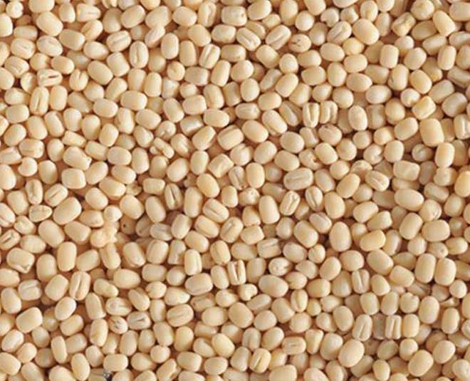 Urad Dal/Black gram/Minapa Gullu