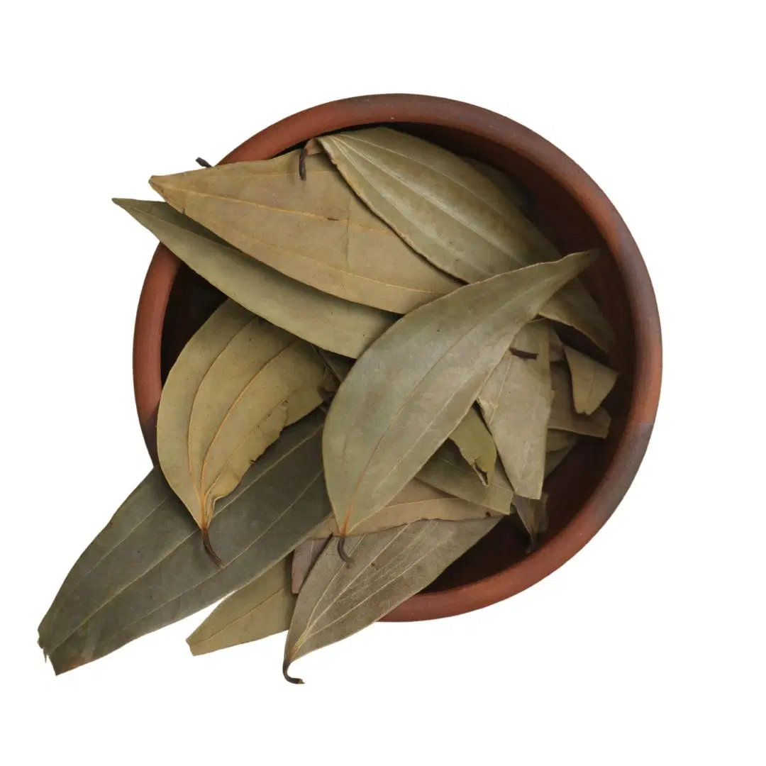 Bayleaf or Biryani leaf (బిర్యానీ ఆకు)