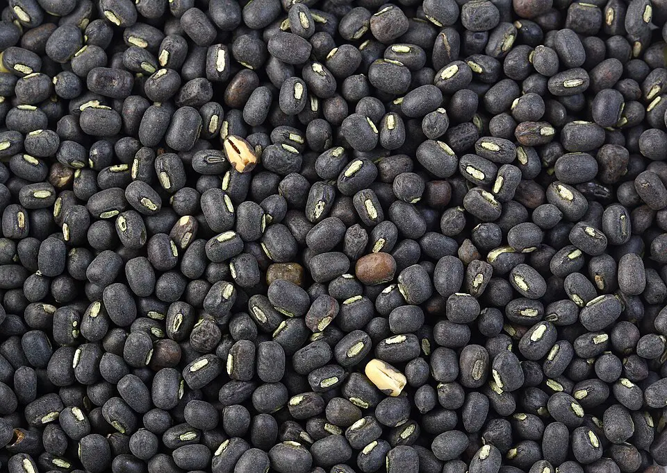 kala urad dal/black gram/Minumulu