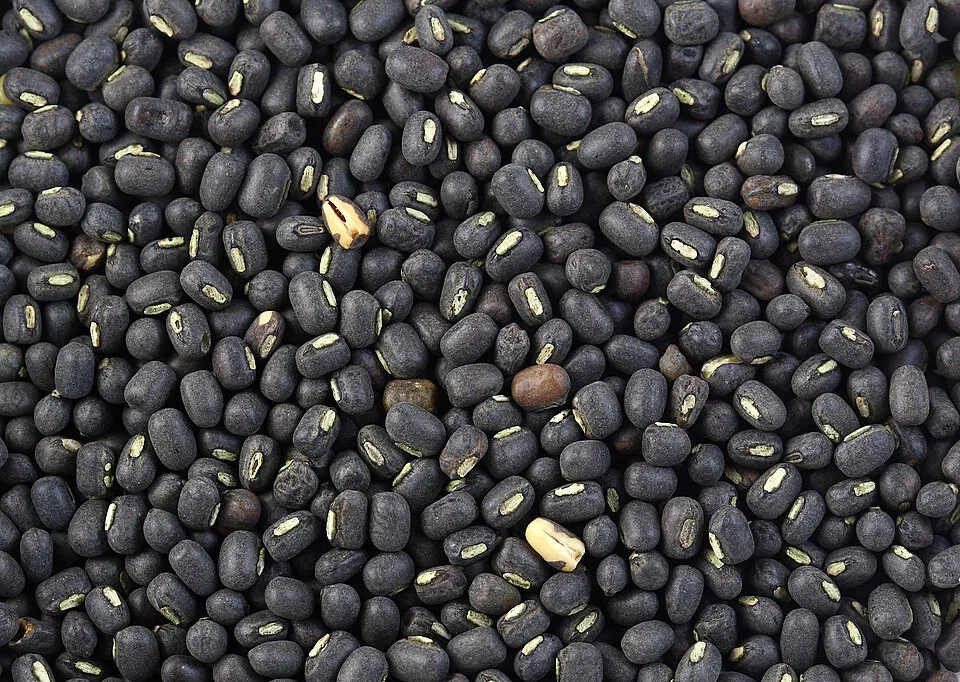 kala urad dal/black gram/Minumulu