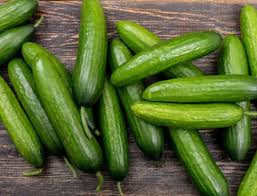 cucumber