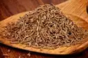 Cumin || Jeera || Jilakarra – image 1