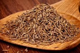 Cumin || Jeera || Jilakarra