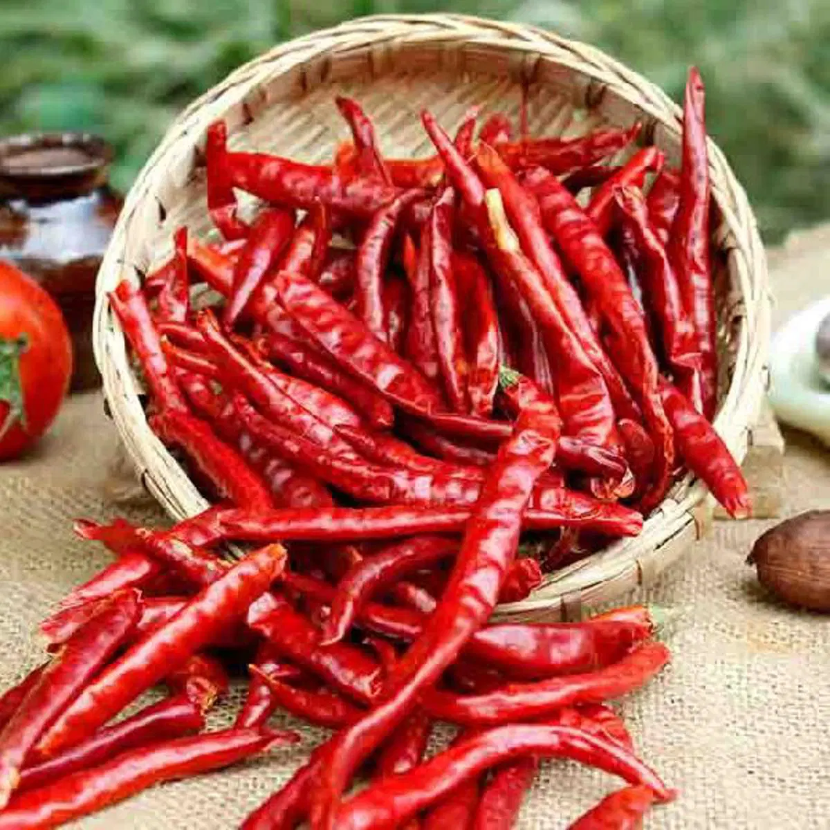 Dried red chilies /yendu mirchi