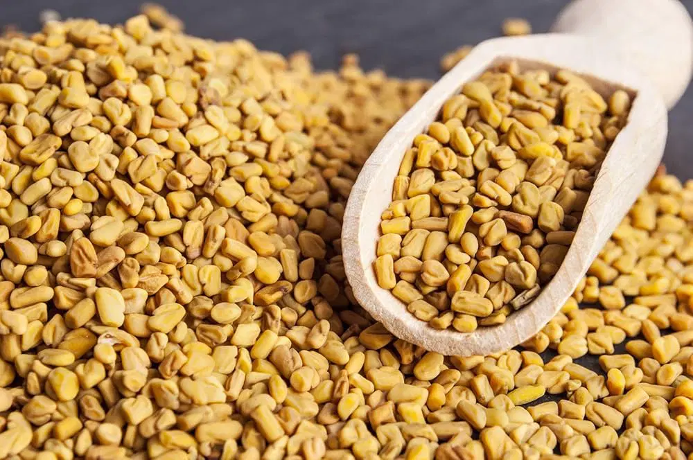 Fenugreek (Menthulu)