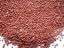 Ragulu (Finger Millet or Ragi) – image 1
