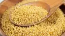 Korralu ( Foxtail ) – image 1
