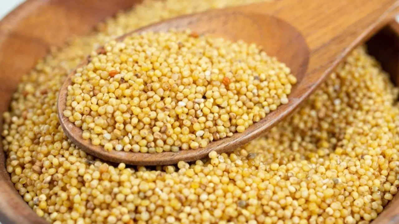 Korralu ( Foxtail )