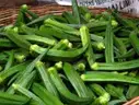 Lady finger ( Bendakayalu ) – image 1