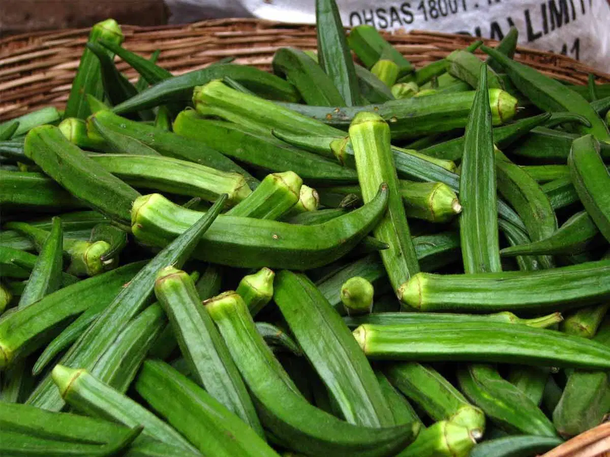 Lady finger ( Bendakayalu )