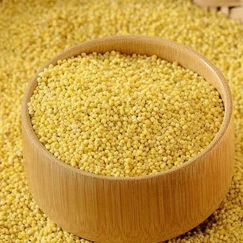 Samulu ( Little Millet )
