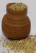 Sajjalu (Pearl Millet or Bajra) – image 1
