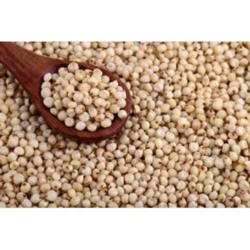 Jonnalu (Jowar or Sorghum)