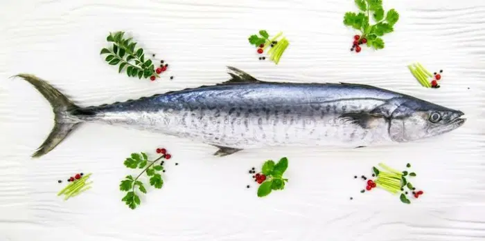 Seer Fish/Surmai/Nagarmai/Vonjaram