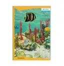 Apsara Register Hindi Rulled A4 Size Page-172 – image 1