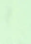 Light Green Chart Paper – image 1