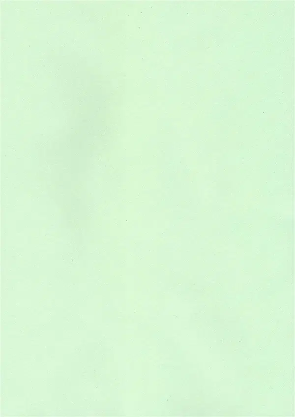Light Green Chart Paper