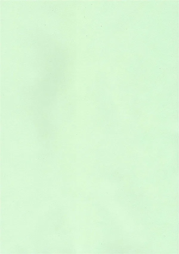 Light Green Chart Paper