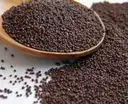 Victory Rai Mustard – image 3