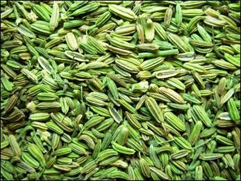 Dhansoya Normal