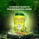 PATANJALI ZERO SUGAR CHYAWANPRABHA – image 4