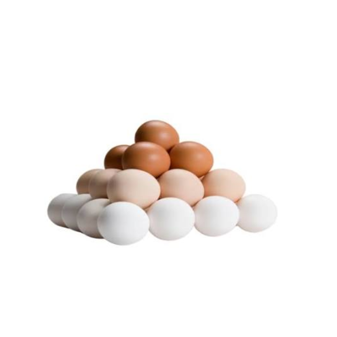 Egg