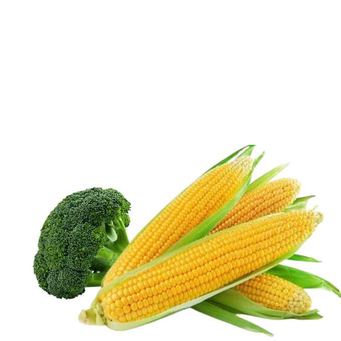 Exotic Vegetables