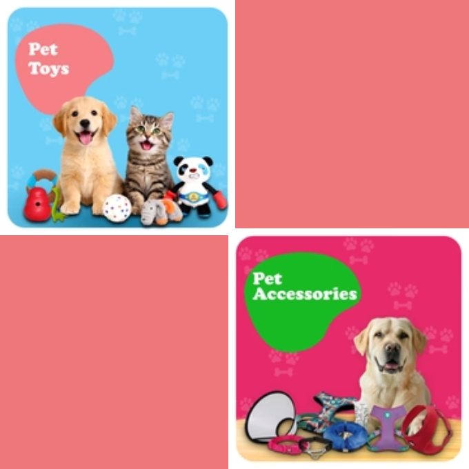 Pets Toys & Accessories