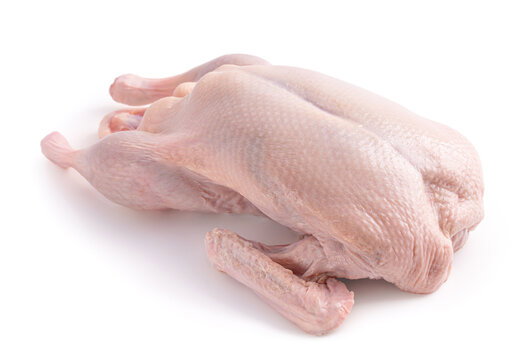 Fresh Duck