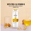 Pantene Advanced Hair Care Solution Lively Clean Shampoo,  – image 5