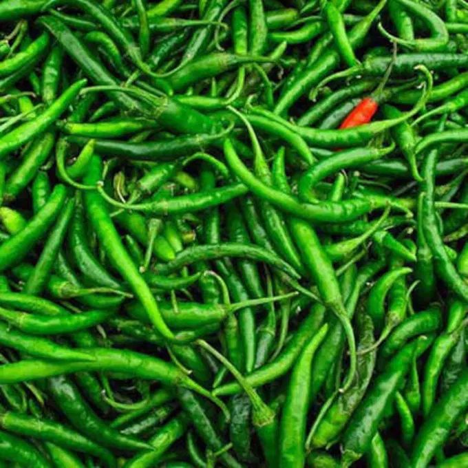 GREEN CHILLI