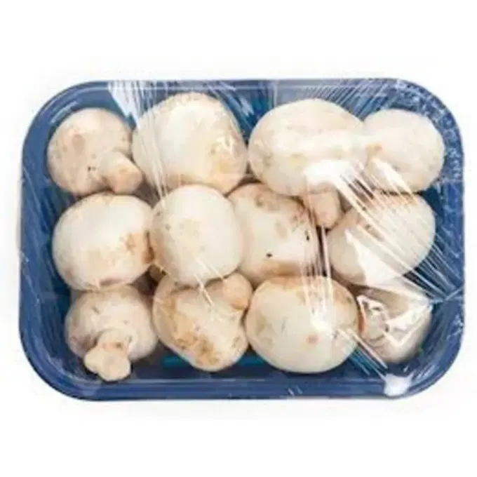 Mushroom 