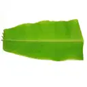 Banana Leaf – image 1
