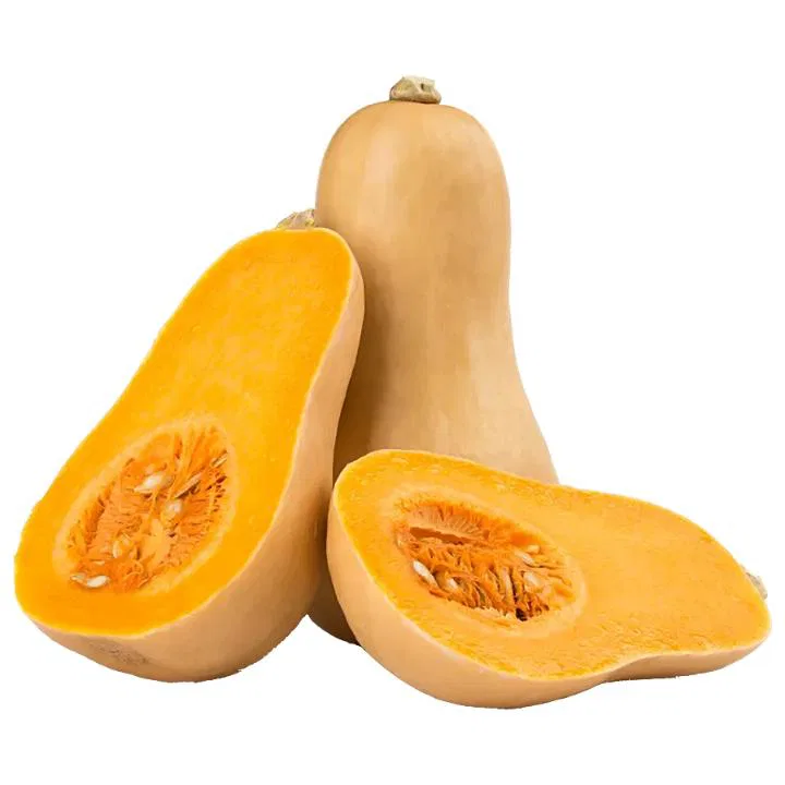 Butternut Squash