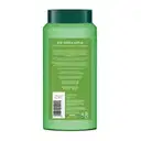 Biotique Green Apple Shine & Gloss Shampoo With Conditioner – image 2