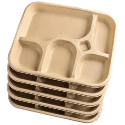 Chuk Disposable Meal Plate 5 Compartments