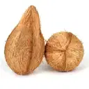 Coconut Large – image 1