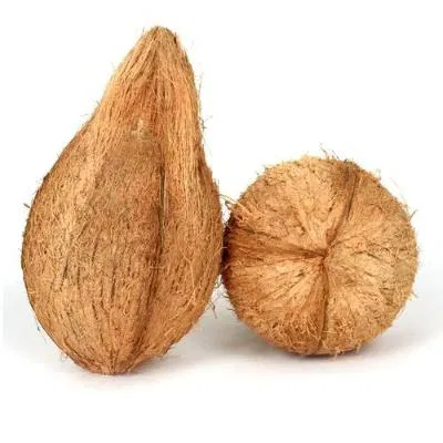 Coconut Large