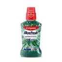 Colagte Plax Freshmint – image 1