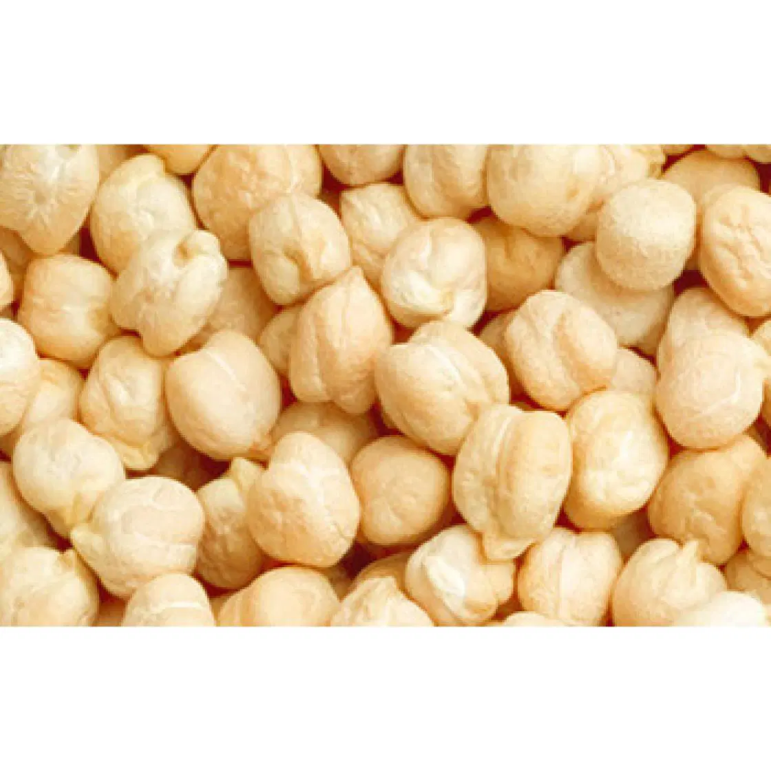 Deewakar Kabuli Channa