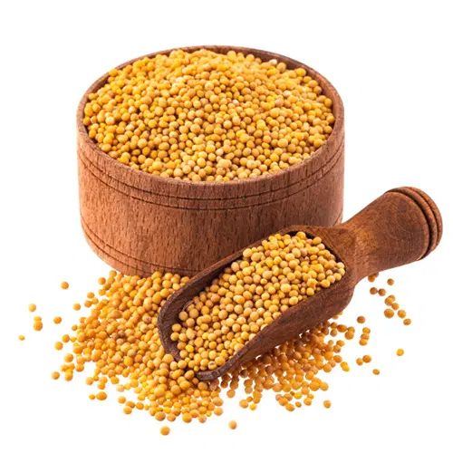 Deewakar Yellow Sarso