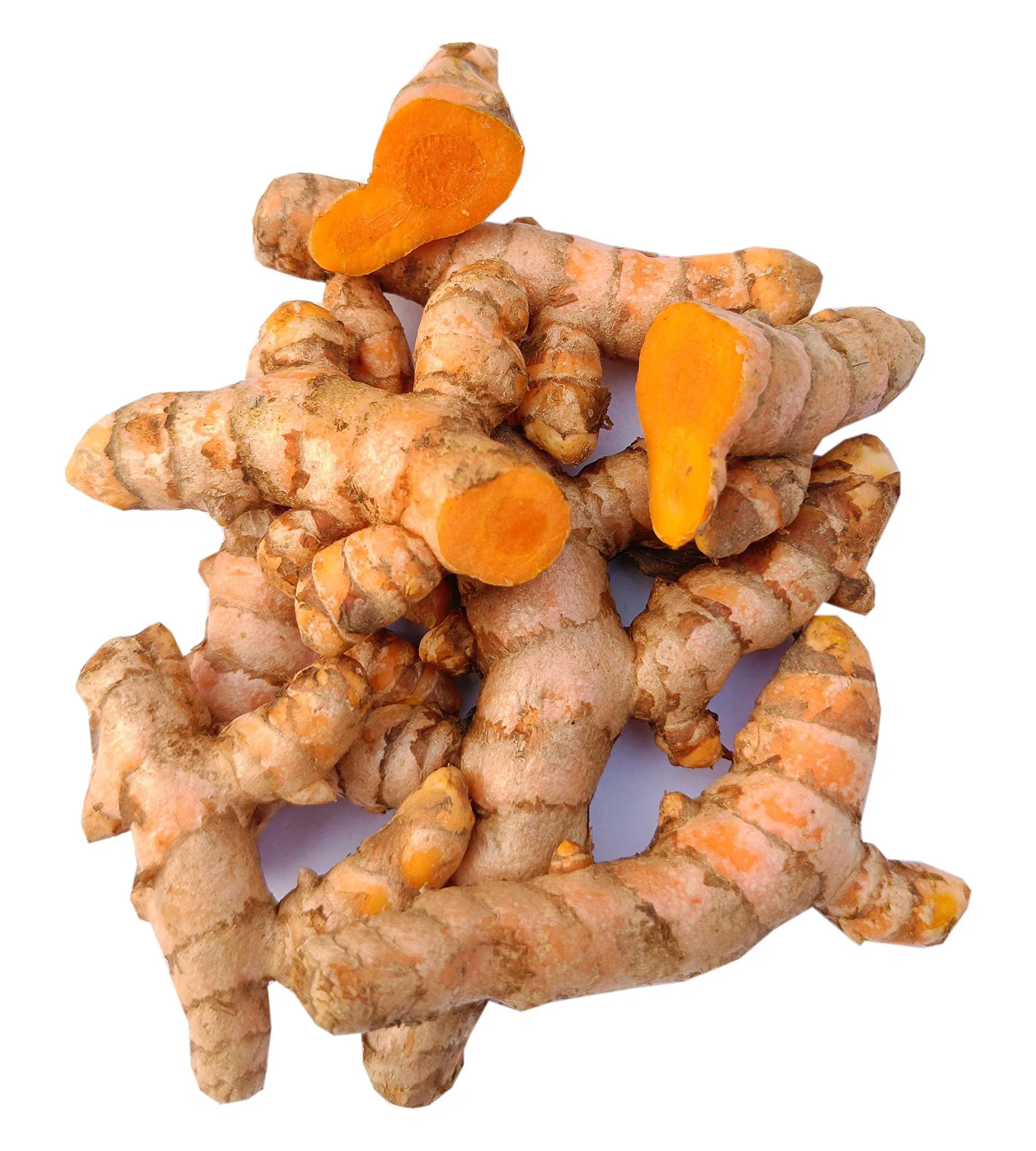 Fresh Turmeric Organically Grown