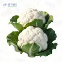 Cauliflower – image 1
