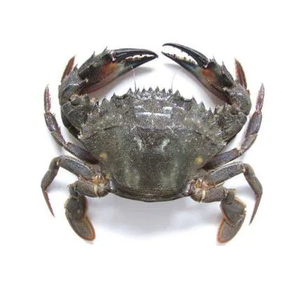 Fresho Blue Crab Whole Cut