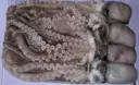 Frozen Octopus – image 1